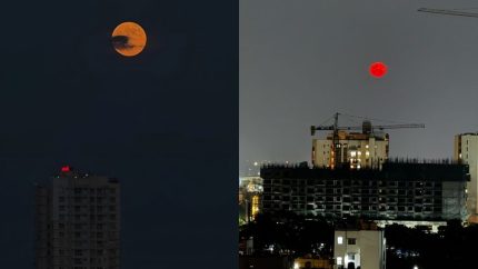 Karwa Chauth Quotes for Wife/Husband