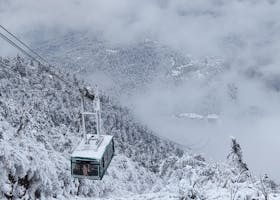 केरल सड़क दुर्घटना, पैदल यात्री सुरक्षा, यातायात नियम, सड़क हादसे, केरल हाईकोर्ट कार्रवाई, मोटर व्हीकल एक्ट, वाहन चालकों पर कार्रवाई, Kerala road accident, pedestrian deaths Kerala, pedestrian safety, road safety rules, zebra crossing violation, Kerala High Court action, traffic violation penalty, MVD Kerala crackdown