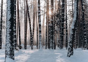 The next hearing is on December 3.