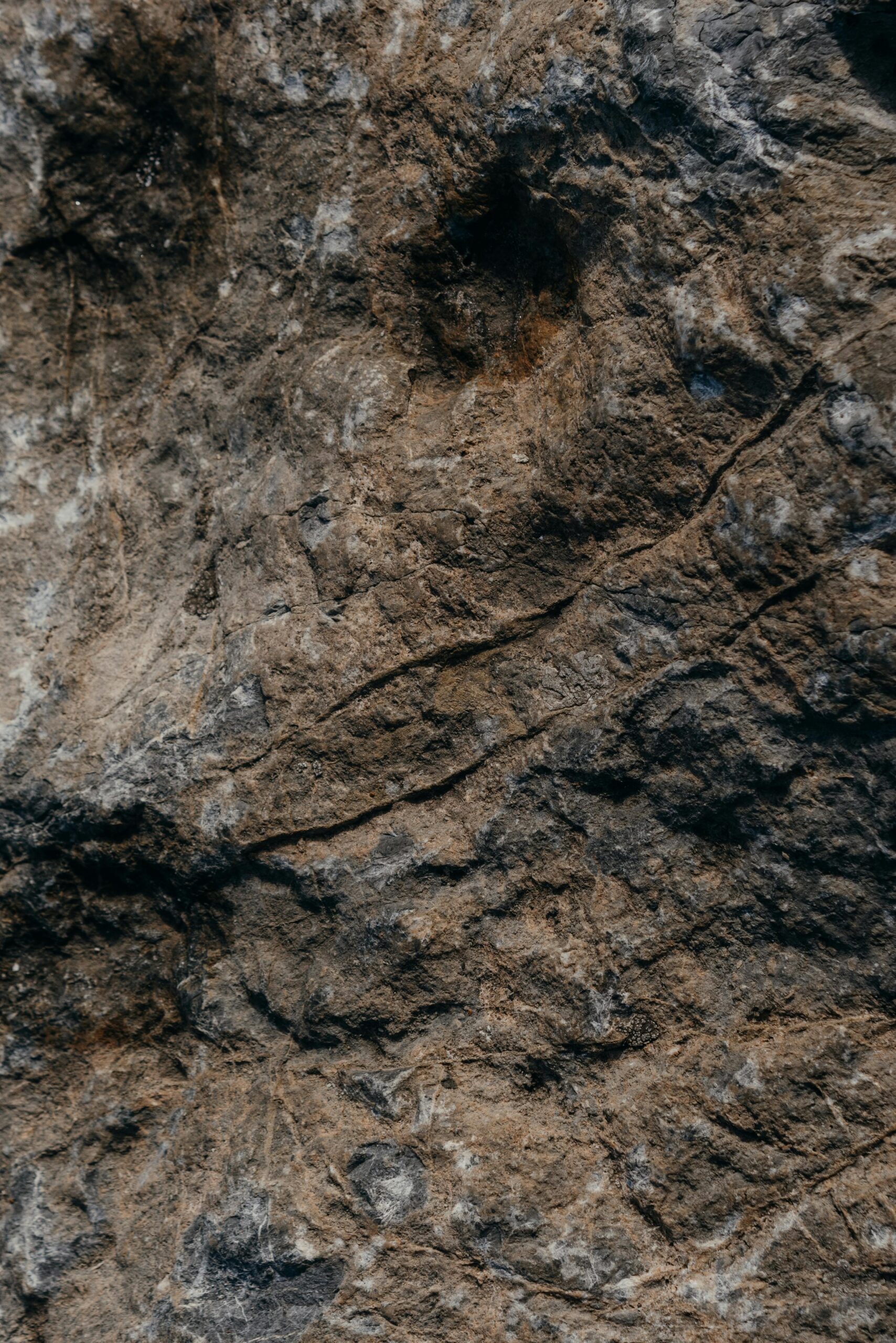 Close-up view of a natural stone surface showcasing intricate textures and earthy tones.