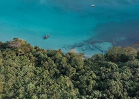 Time bound forest land transfer cases