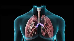 60 percent respiratory patients आरोग्य मेले में 60 फीसदी सांस के मरीज पहुंचे
