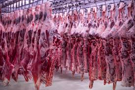 मृत जानवरों का मीट लेकर जा रहे दो युवक गिरफ्तार meat from dead animals