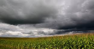 Clouds of crisis over crops