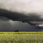 Clouds of crisis over crops