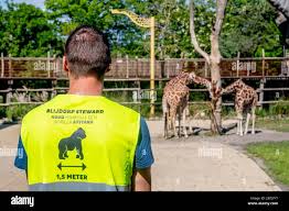 Awareness of visitors to the zoo