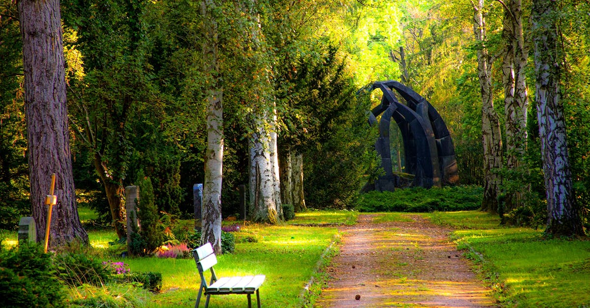 Hasanpur Deer Park हसनपुर में बनेगा पर्यटन स्थल: 100 एकड़ जंगल में 85 करोड़ से डियर पार्क का ऐलान