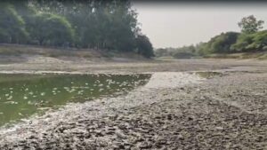 Delhi Heatwave Impact