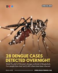 Dengue Prevention Updates 2026